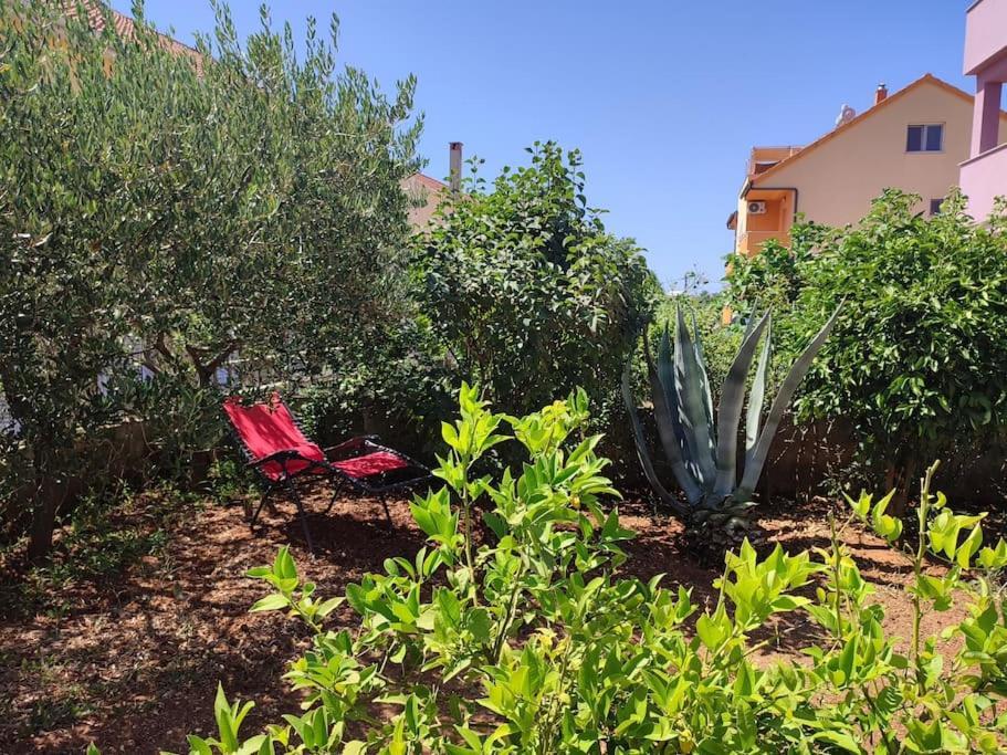 Apartment Nera Zadar Zewnętrze zdjęcie